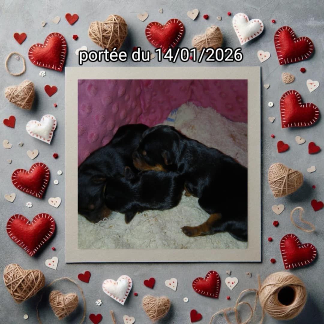 Portée du 14/01/2026